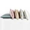 Premium Mulberry Silk Pillowcase with Zipper